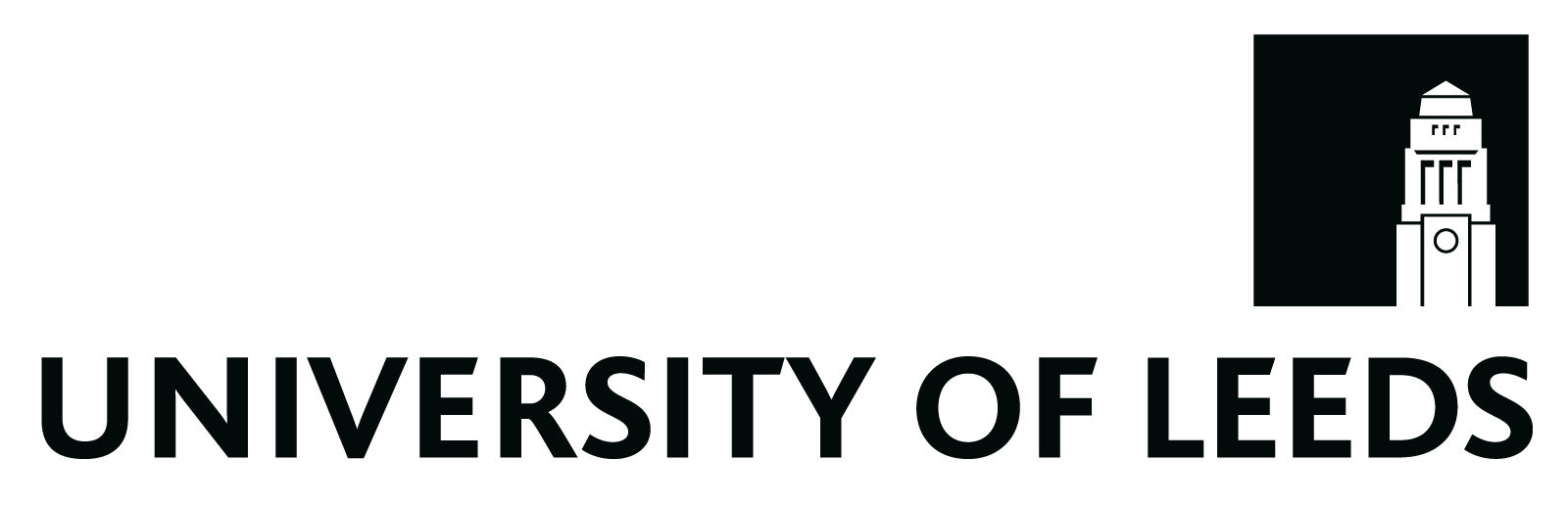 University of Leeds logo: a cartoon graphic of the Parkinson Building clock tower over the text 'University of Leeds' in capital letters.